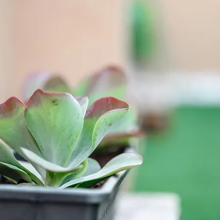 Anici Crt Penthouse 4 - With Private Rooftop Pool Apartament